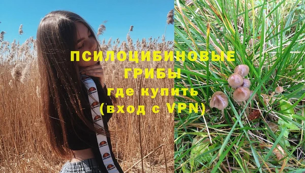 ПСИЛОЦИБИНОВЫЕ ГРИБЫ Алексин