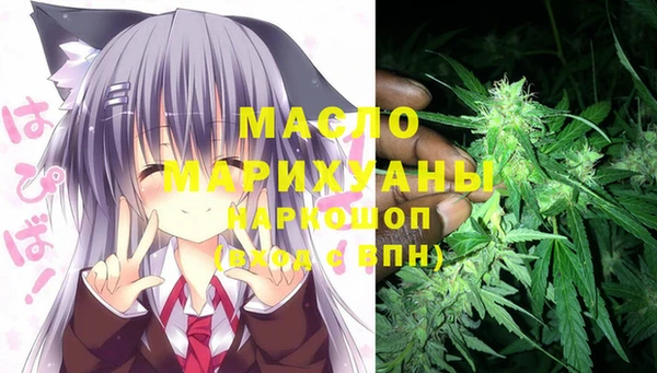 ECSTASY Пересвет