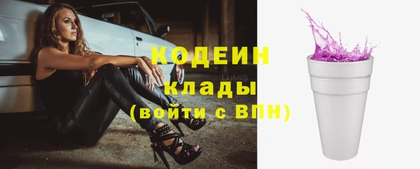 молекула духа Переславль-Залесский
