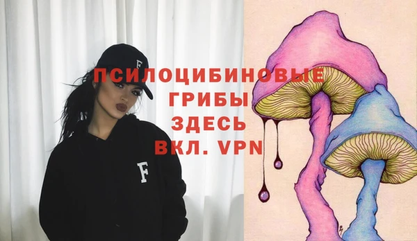 тгк Алексеевка